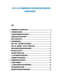 2025-2030中國網絡安全行業市場現狀及技術發展與競爭格局分析報告