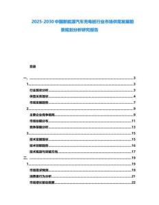 2025-2030中國新能源汽車充電樁行業市場供需發展前景規劃分析研究報告