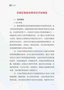 巴南區(qū)智能電網(wǎng)項目評估報告