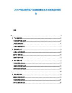 2025中國衛(wèi)星導(dǎo)航產(chǎn)業(yè)發(fā)展現(xiàn)狀及未來市場潛力研究報告