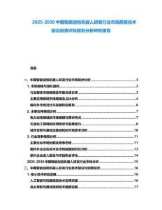 2025-2030中國智能巡檢機器人研發(fā)行業(yè)市場前景技術(shù)前沿投資評估規(guī)劃分析研究報告
