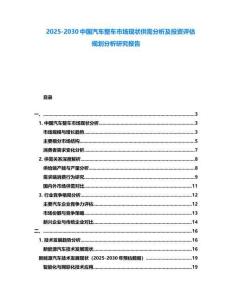 2025-2030中國(guó)汽車整車市場(chǎng)現(xiàn)狀供需分析及投資評(píng)估規(guī)劃分析研究報(bào)告