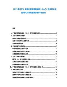 2025至2030中國計算機輔助編碼（CAC）軟件行業深度研究及發展前景投資評估分析