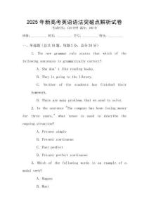2025年新高考英語語法突破點解析試卷