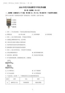 2025年四川省成都市中考化學(xué)試題(含答案解析)
