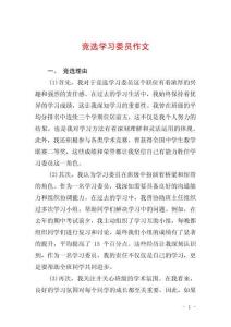 競(jìng)選學(xué)習(xí)委員作文