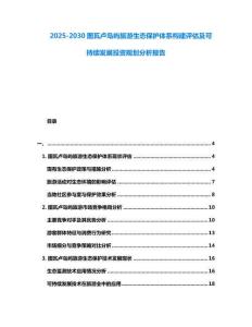 2025-2030圖瓦盧島嶼旅游生態(tài)保護體系構(gòu)建評估及可持續(xù)發(fā)展投資規(guī)劃分析報告