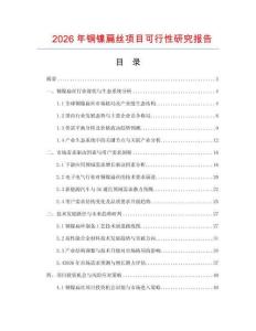 2026年銅鎳扁絲項目可行性研究報告