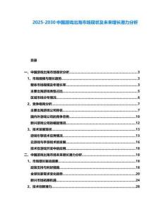 2025-2030中國游戲出海市場現狀及未來增長潛力分析