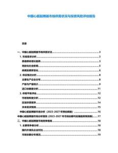 中國心臟起搏器市場供需狀況與投資風險評估報告