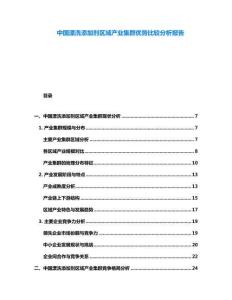 中國漂洗添加劑區域產業集群優勢比較分析報告
