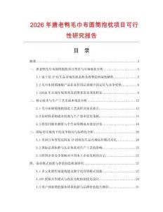 2026年唐老鴨毛巾布圓筒抱枕項目可行性研究報告