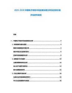 2025-2030中國電子商務市場發展深度分析及投資價值評估研究報告