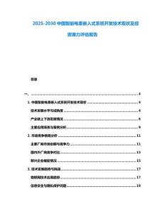 2025-2030中國智能電表嵌入式系統開發技術現狀及投資潛力評估報告