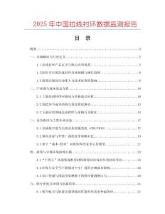 2025年中國拉線襯環數據監測報告