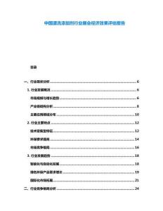 中國漂洗添加劑行業展會經濟效果評估報告