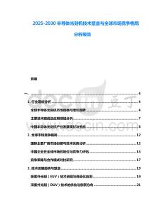 2025-2030半導(dǎo)體光刻機(jī)技術(shù)壁壘與全球市場競爭格局分析報(bào)告