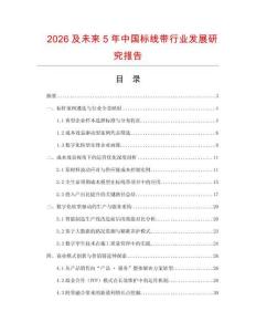 2026及未來5年中國標線帶行業發展研究報告