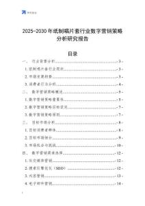 2025-2030年紙制唱片套行業數字營銷策略分析研究報告