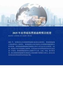 2025年發債城投票據逾期情況梳理