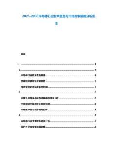 2025-2030半導(dǎo)體行業(yè)技術(shù)壁壘與市場競爭策略分析報(bào)告
