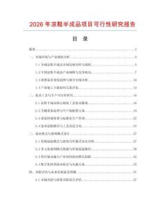 2026年涼鞋半成品項(xiàng)目可行性研究報(bào)告