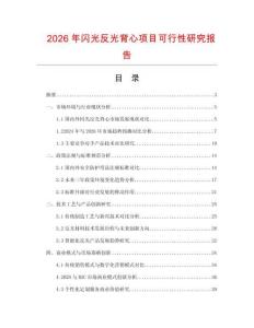 2026年闪光反光背心项目可行性研究报告