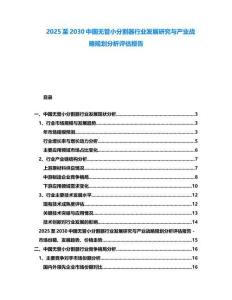 2025至2030中國無管小分割器行業發展研究與產業戰略規劃分析評估報告
