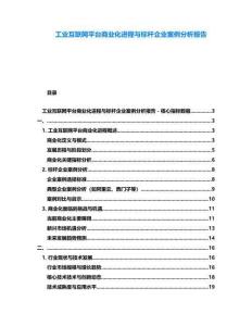 工業互聯網平臺商業化進程與標桿企業案例分析報告