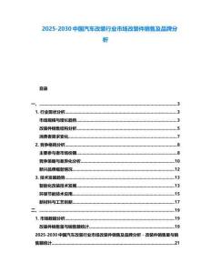 2025-2030中國汽車改裝行業市場改裝件銷售及品牌分析