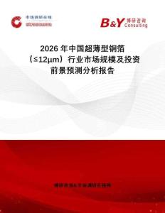 2026年中國(guó)超薄型銅箔（≤12μm）行業(yè)市場(chǎng)規(guī)模及投資前景預(yù)測(cè)分析報(bào)告