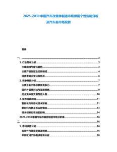 2025-2030中國汽車改裝件制造市場供需個性定制分析及汽車后市場投資