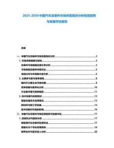 2025-2030中國汽車改裝件市場(chǎng)供需現(xiàn)狀分析投資趨勢(shì)與發(fā)展評(píng)估報(bào)告