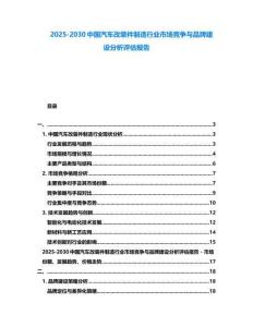 2025-2030中國汽車改裝件制造行業(yè)市場競爭與品牌建設(shè)分析評估報告