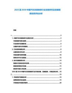2025至2030中國汽車改裝維修行業(yè)深度研究及發(fā)展前景投資評估分析