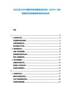 2025至2030中國(guó)聲學(xué)多普勒電流分析儀（ADCP）行業(yè)深度研究及發(fā)展前景投資評(píng)估分析