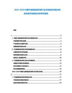 2025-2030中國寧波新能源車輛行業(yè)市場現(xiàn)狀供需分析及投資評估規(guī)劃分析研究報告