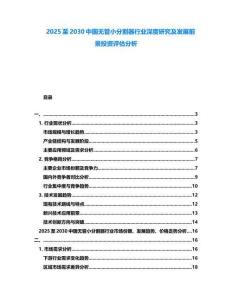 2025至2030中國無管小分割器行業深度研究及發展前景投資評估分析