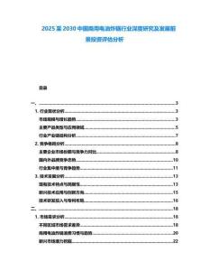 2025至2030中國(guó)商用電油炸鍋行業(yè)深度研究及發(fā)展前景投資評(píng)估分析