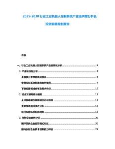 2025-2030行業(yè)工業(yè)機器人控制系統(tǒng)產(chǎn)業(yè)鏈供需分析及投資前景規(guī)劃報告