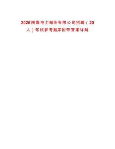 2025陜煤電力略陽有限公司招聘（20人）筆試參考題庫附帶答案詳解