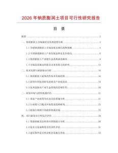 2026年鈉質膨潤土項目可行性研究報告