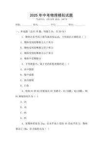 2025年中考物理模擬試題