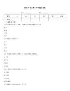 2025年專升本小學試題及答案