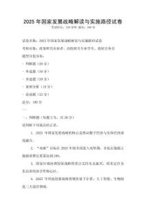 2025年國家發(fā)展戰(zhàn)略解讀與實(shí)施路徑試卷