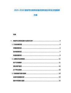 2025-2030智能考古探測設(shè)備投資機遇分析及文物勘探方案