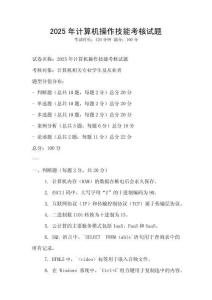 2025年計算機操作技能考核試題