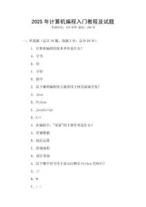 2025年計算機編程入門教程及試題