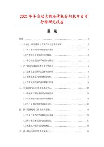 2026年半自動大理石薄板分切機項目可行性研究報告
