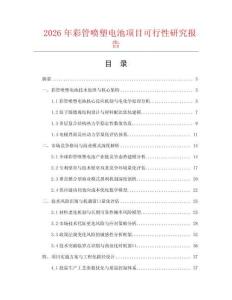 2026年彩管噴塑電池項(xiàng)目可行性研究報(bào)告